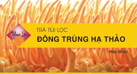 Cordyceps tea