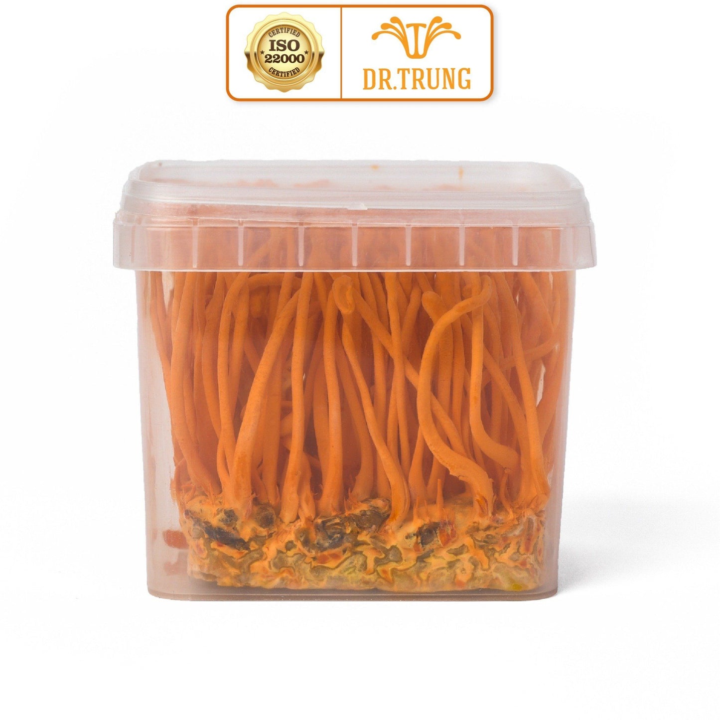 Fresh Biomass Cordyceps (Square Box)